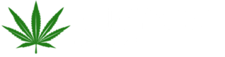 MI Physical Therapy